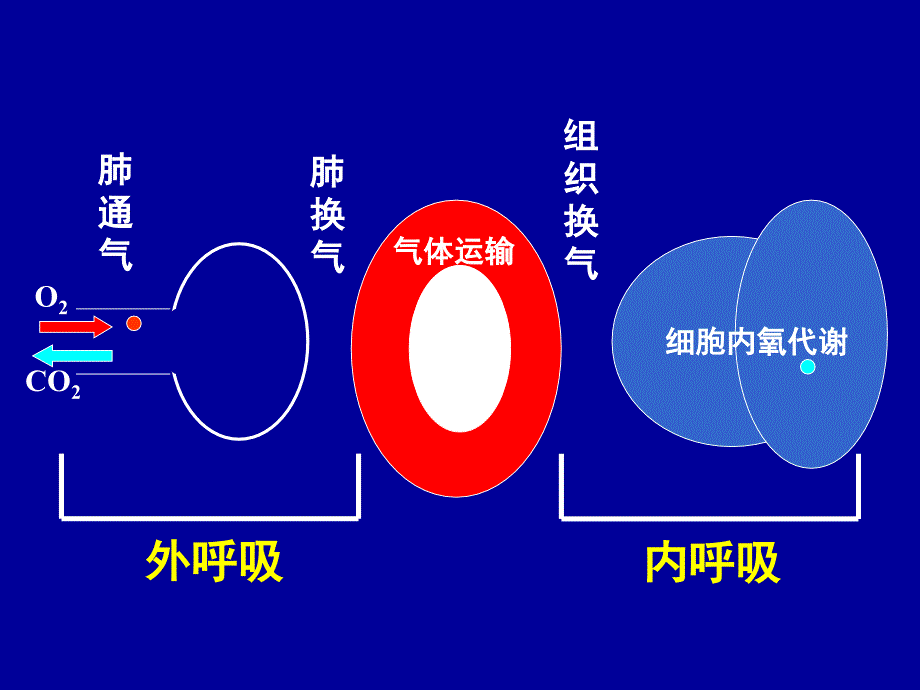 急性呼吸衰竭及抢救措施_第2页