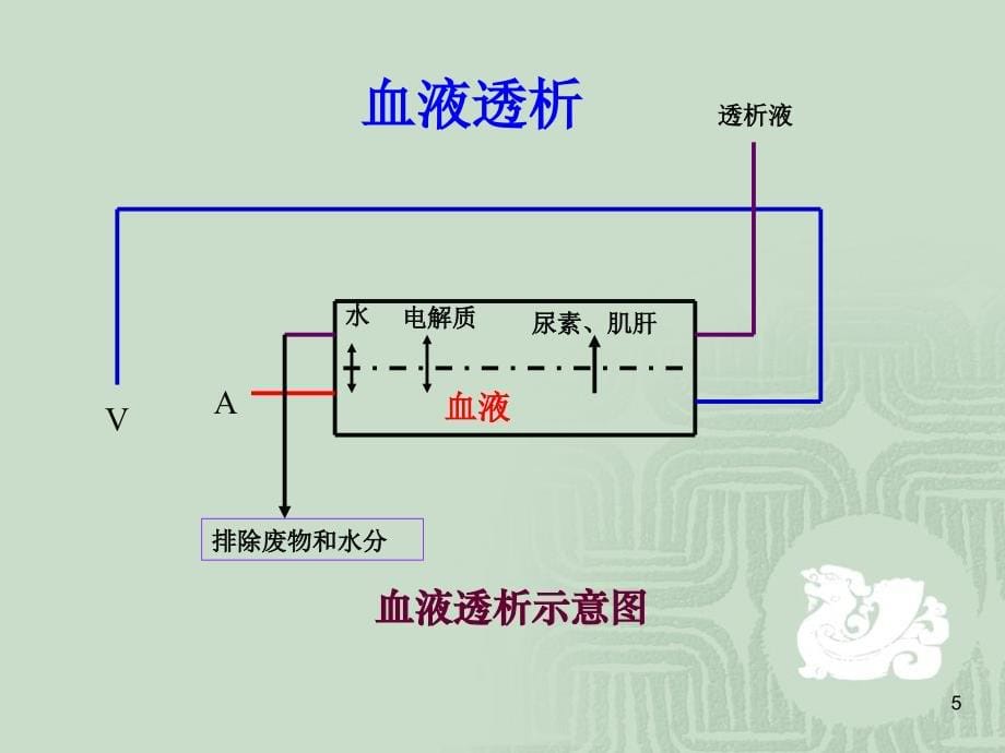 血液净化在急诊医学中的应用_第5页