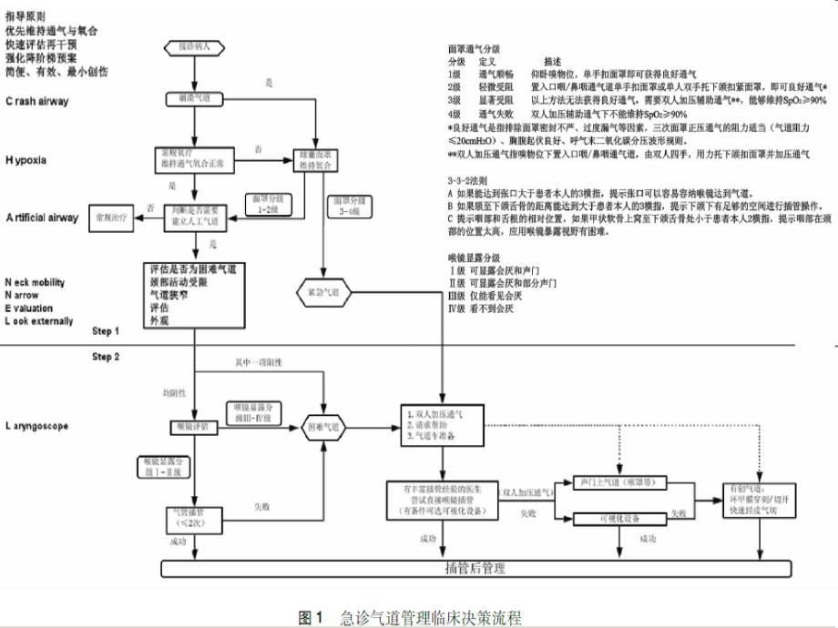 急诊气道管理共识_第5页