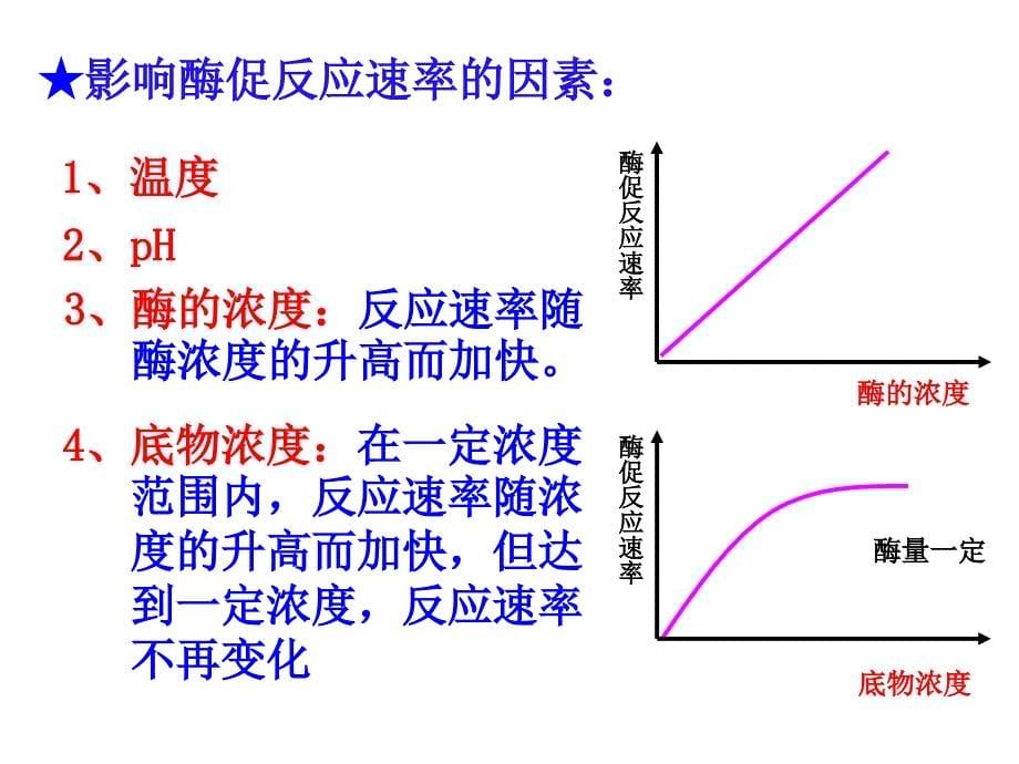 降低化学反应活化能的酶习题_第5页