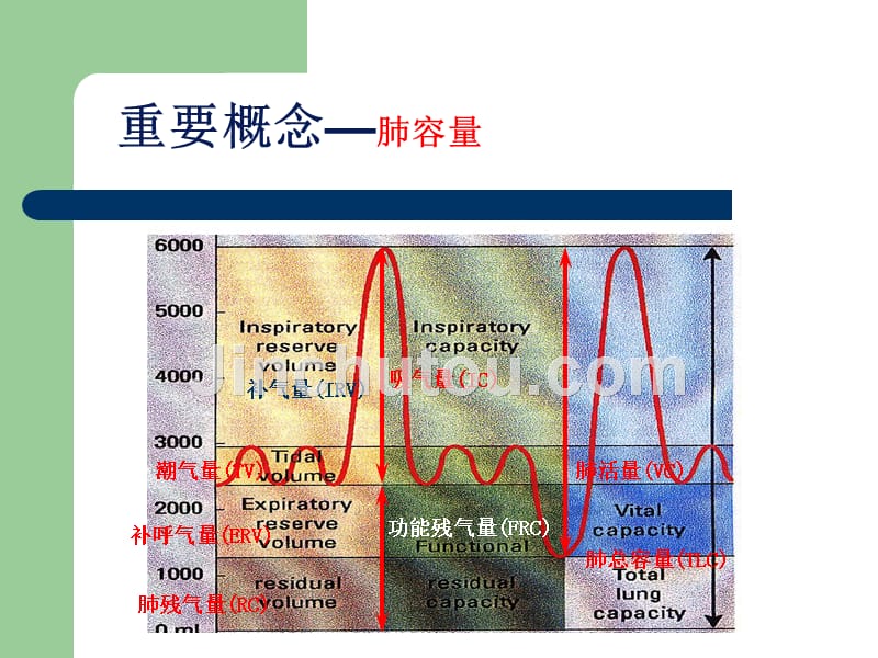 呼吸机在儿科的应用_第5页