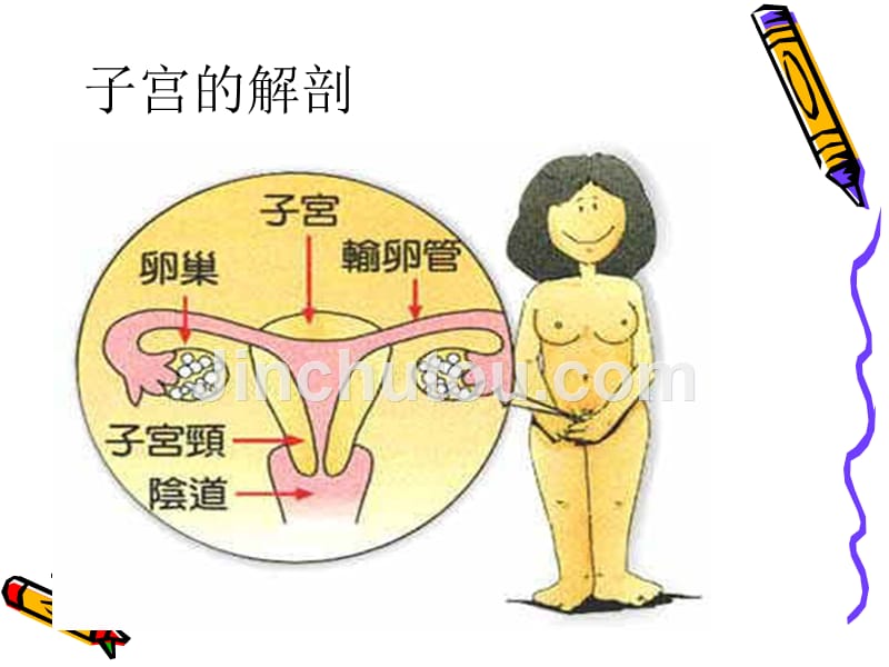腹腔镜下子宫全切的术中配合及护理 (1)_第2页