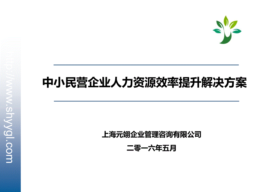 人力资源效率提升解决方案_第1页