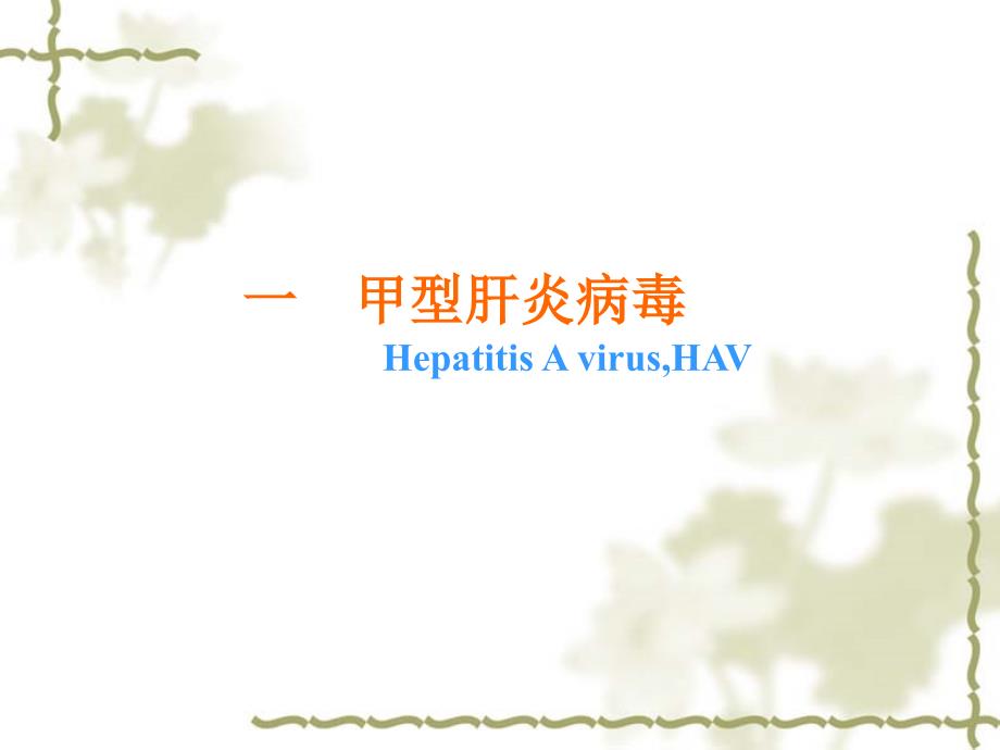 肝炎病毒基概_第4页