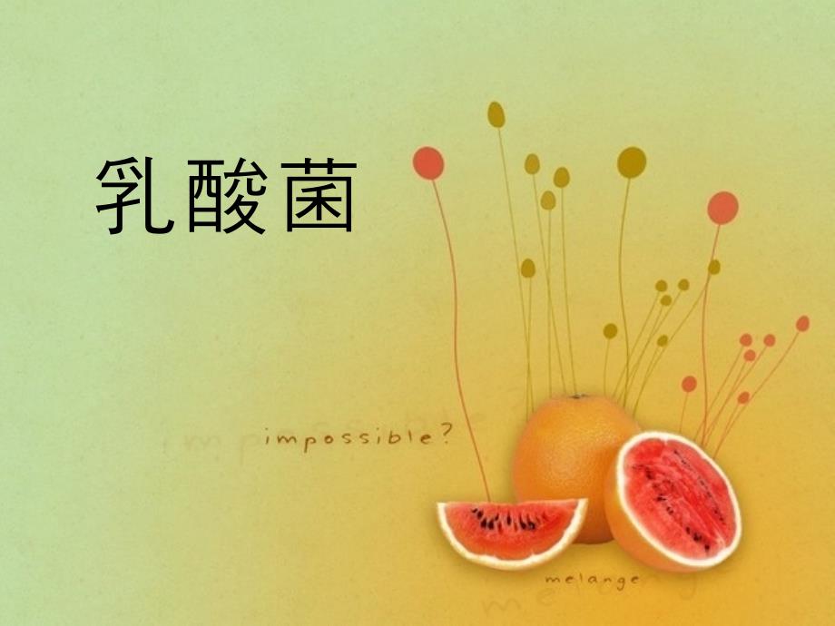 《乳酸菌》ppt_第1页