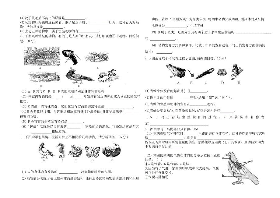 初三生物期中考试题_第3页