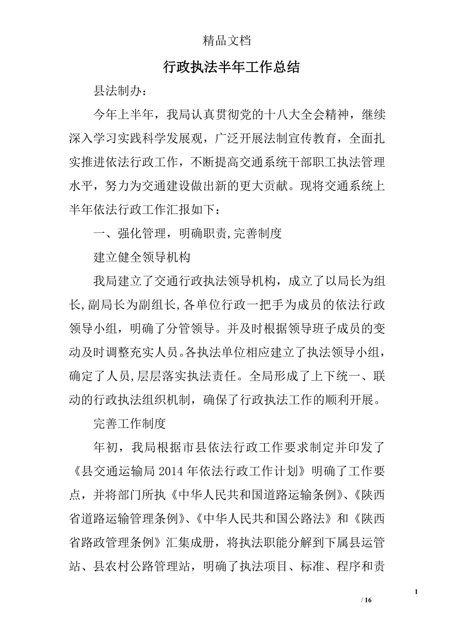 行政执法半年工作总结精选 _第1页