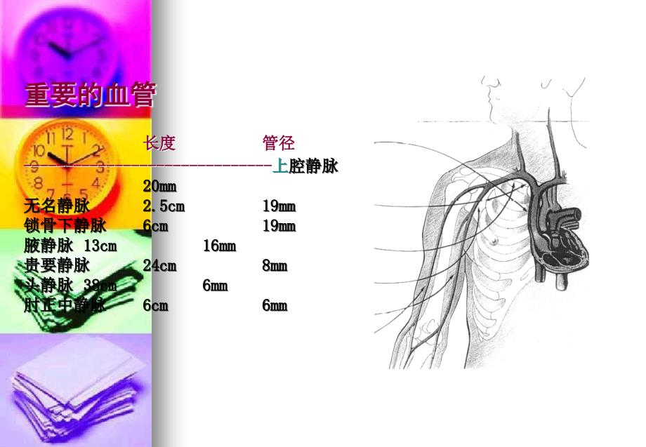 PICC导管标准操作流程及维护_第4页