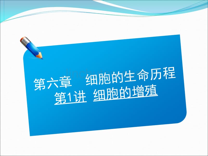 2013届高三生物一轮复习典型例题： 1.6.1细胞的增殖课件_第1页