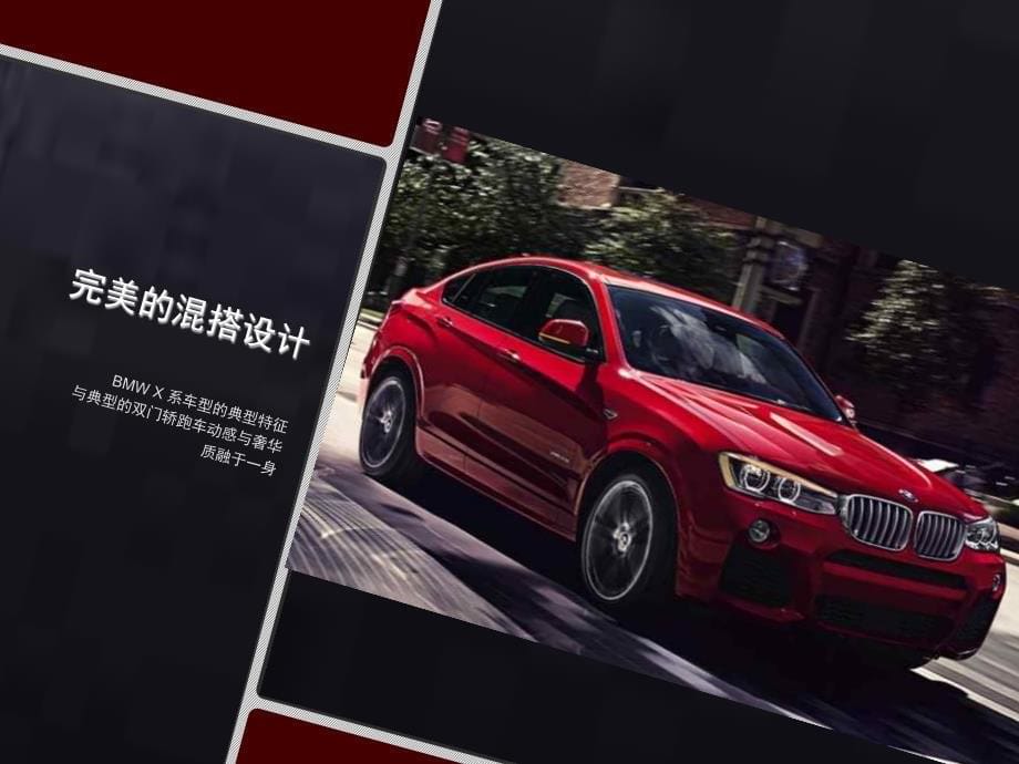BMW全新 X4 经销商上市系列活动_第5页