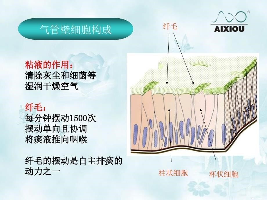 排痰机简介临床版_第5页