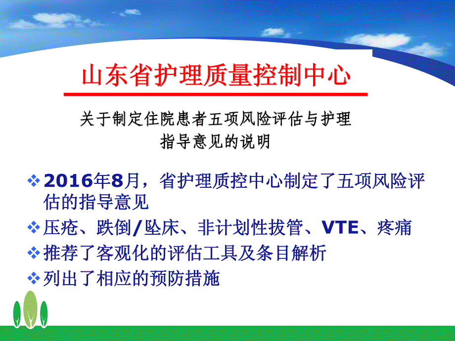 五项护理风险评估-17年_第2页