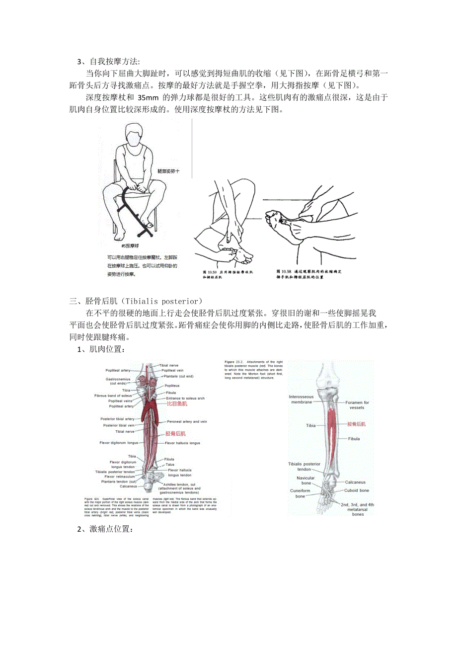 激痛点和肌肉疼痛自我按摩治疗(15)------大脚趾下方痛_第3页