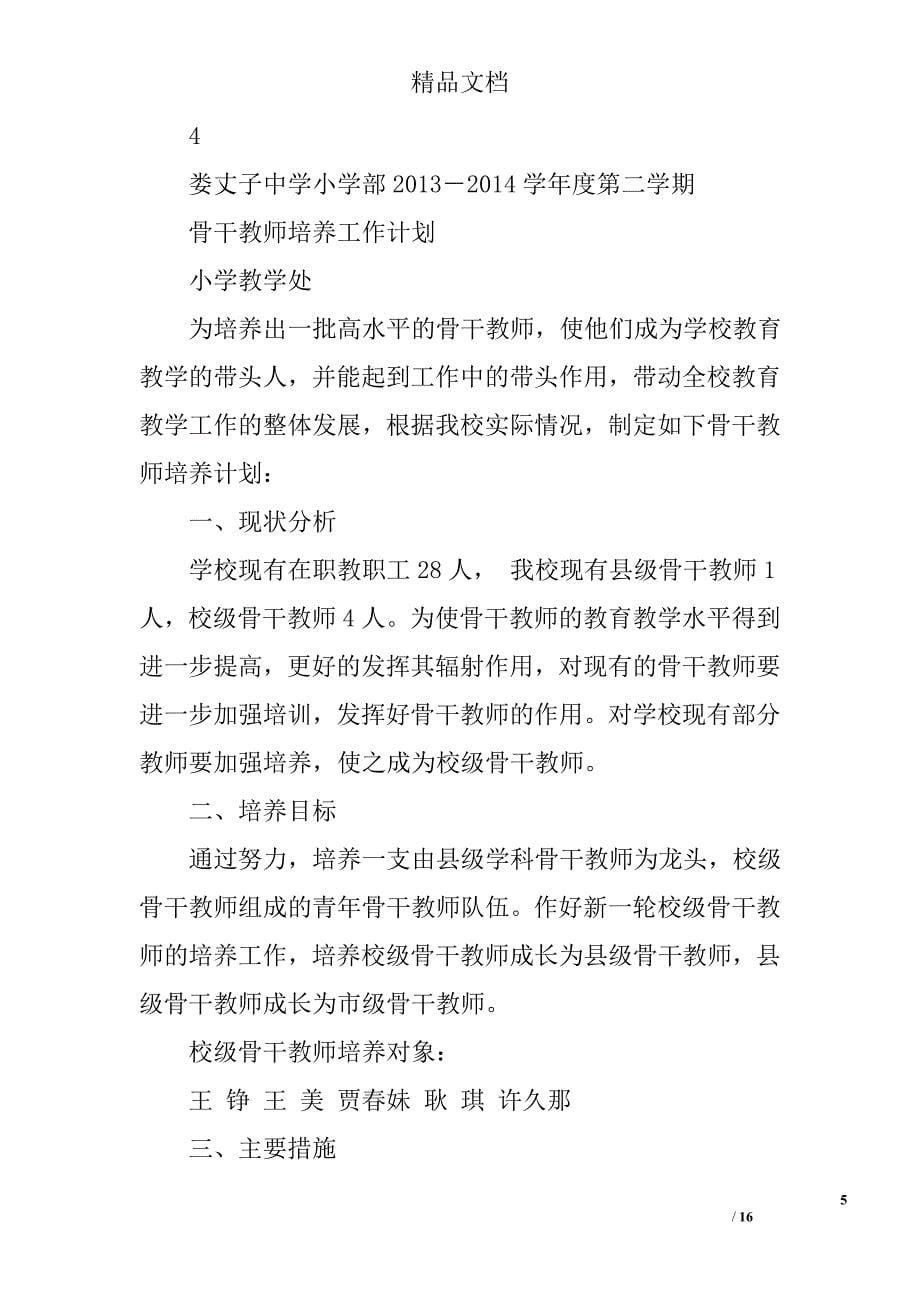 骨干教师培养工作计划精选 _第5页