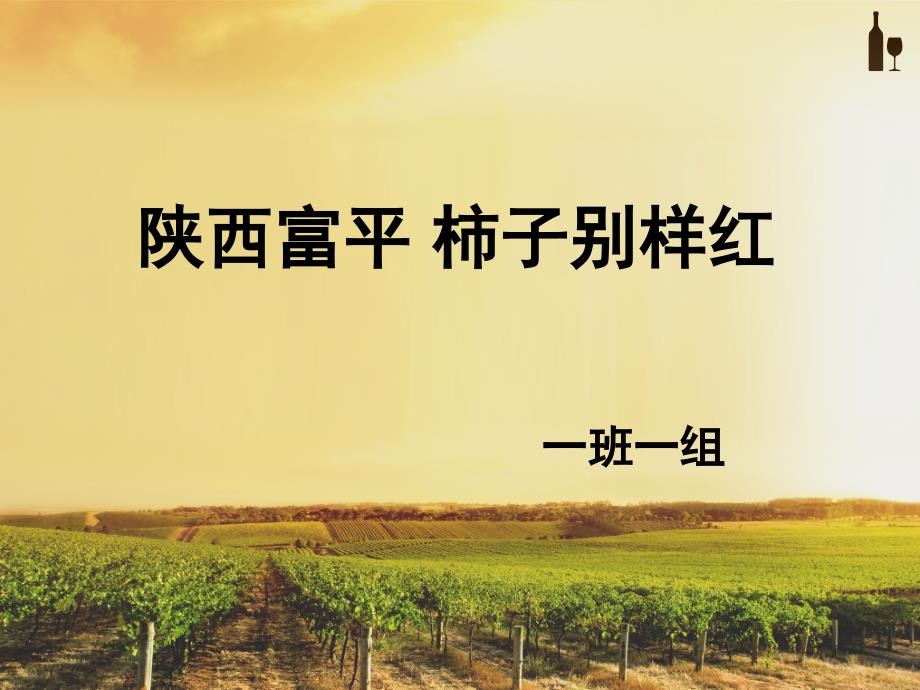 水保经济林1-1_第1页