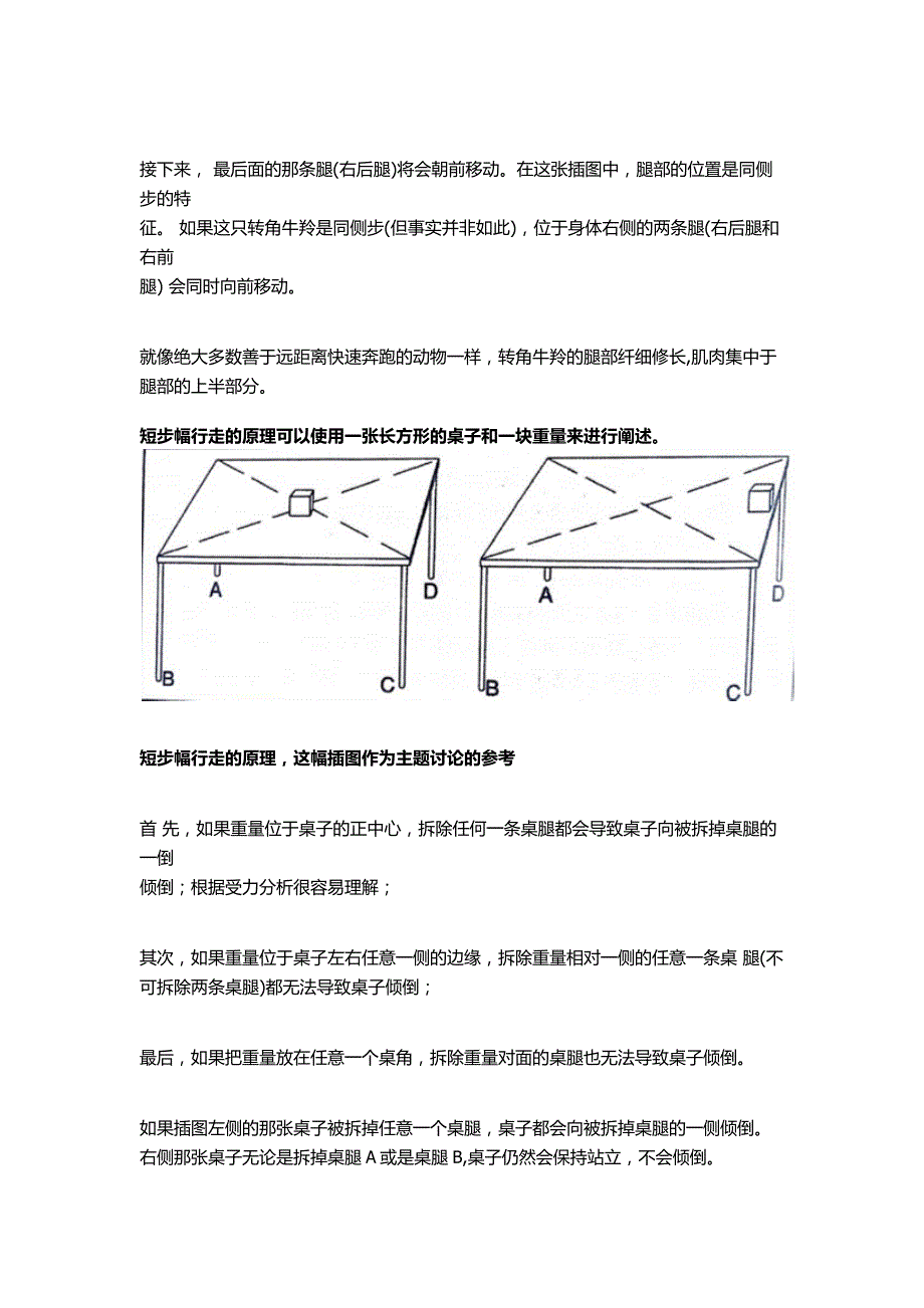 狗狗步态的讨论_第2页