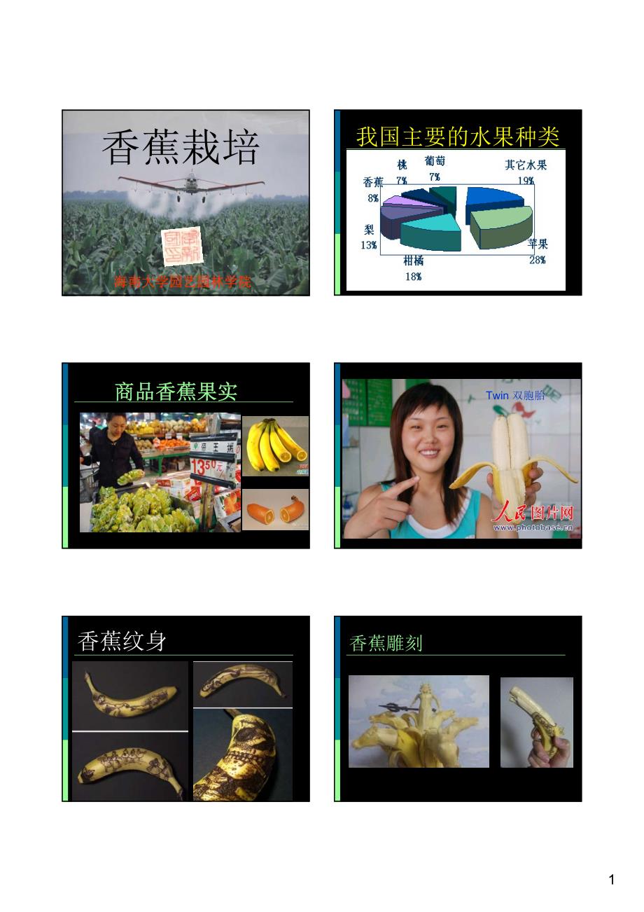 热带果树栽培学  香蕉栽培 lxg_第1页