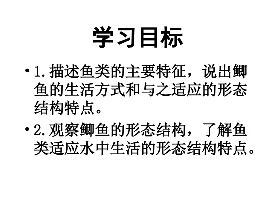 动物的主要类群--鱼类_第3页