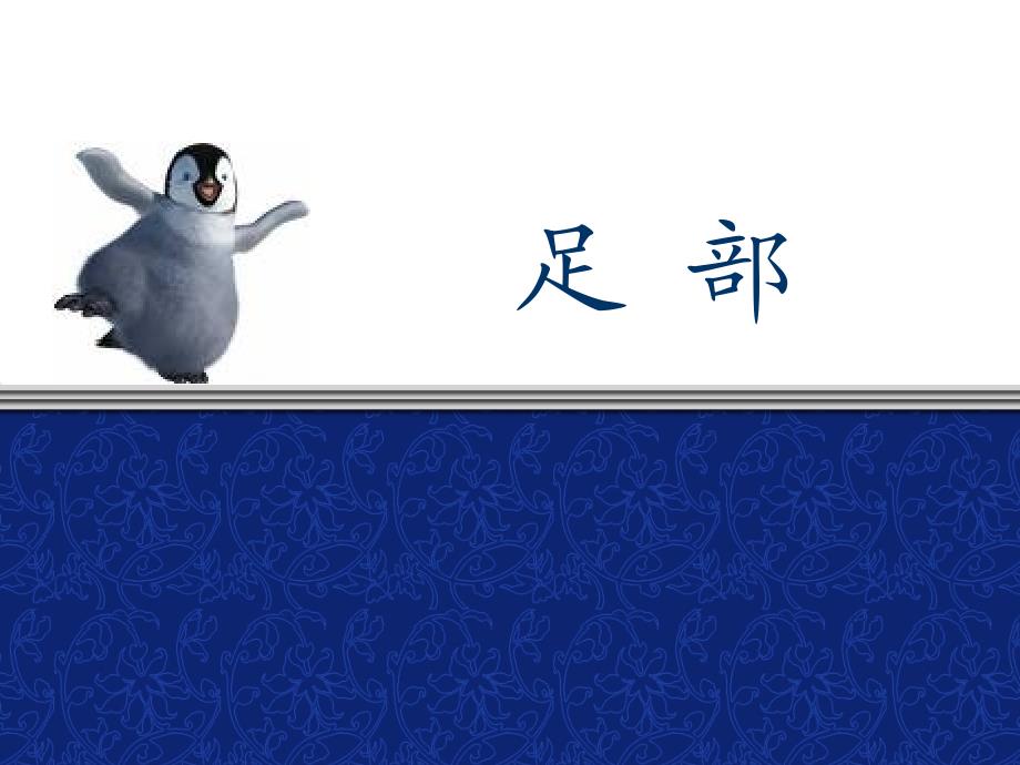 踝足解剖及功能解析_第1页