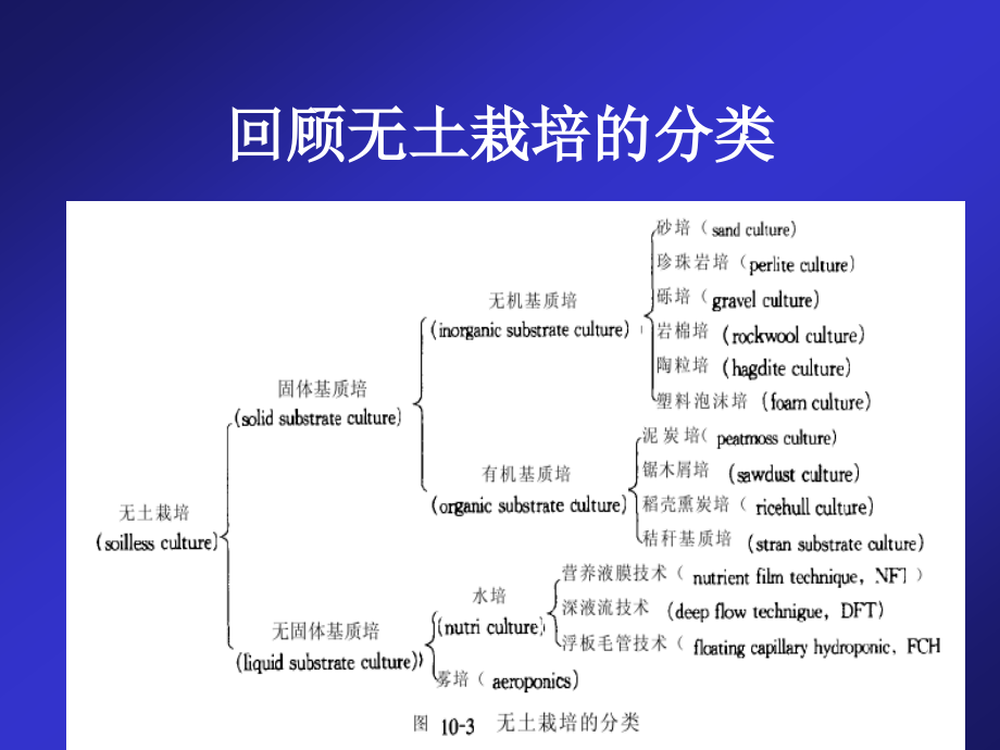 无土栽培的主要形式及管理技术_第3页