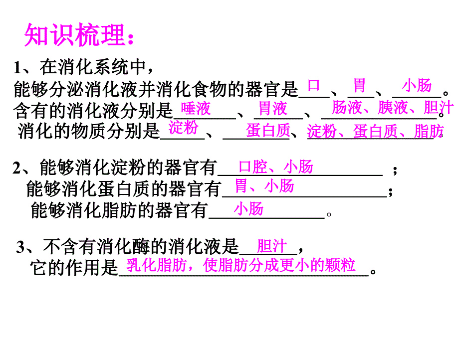 淀粉的消化是从_第2页