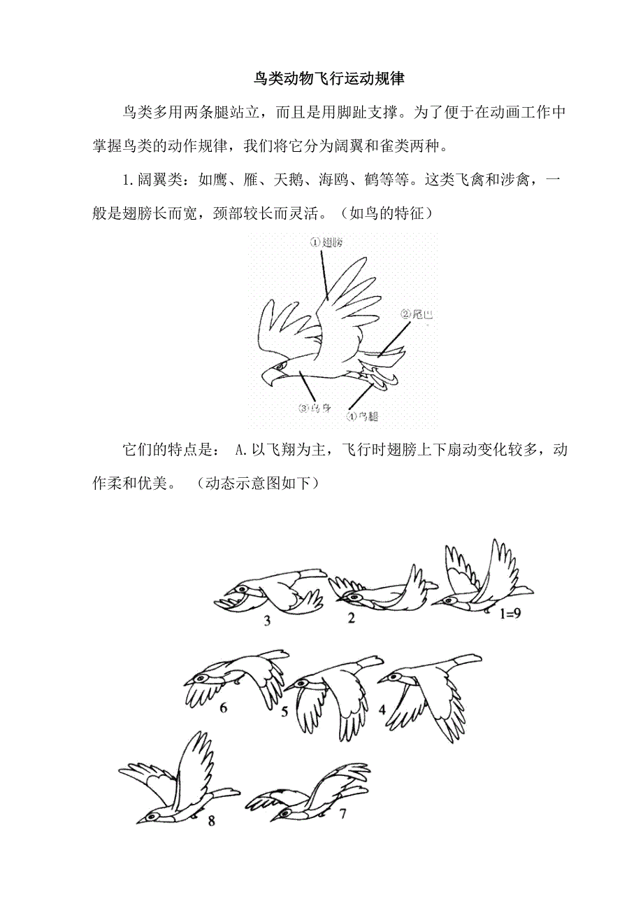 鸟类动物飞行运动规律_第1页