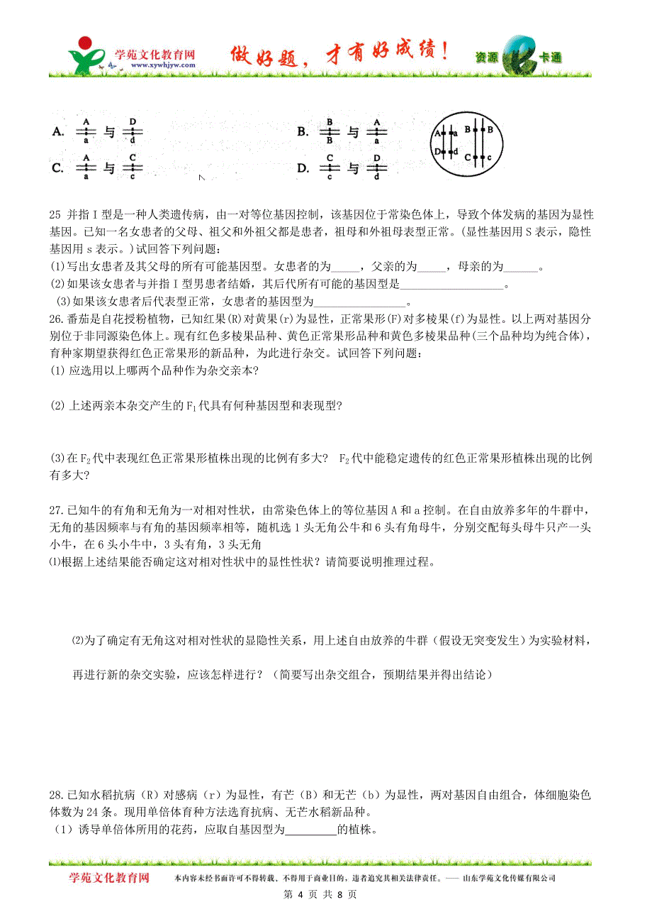 【生物】分离定律与自由组合定律_第4页