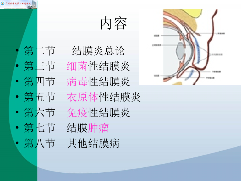 结膜病医本_第4页