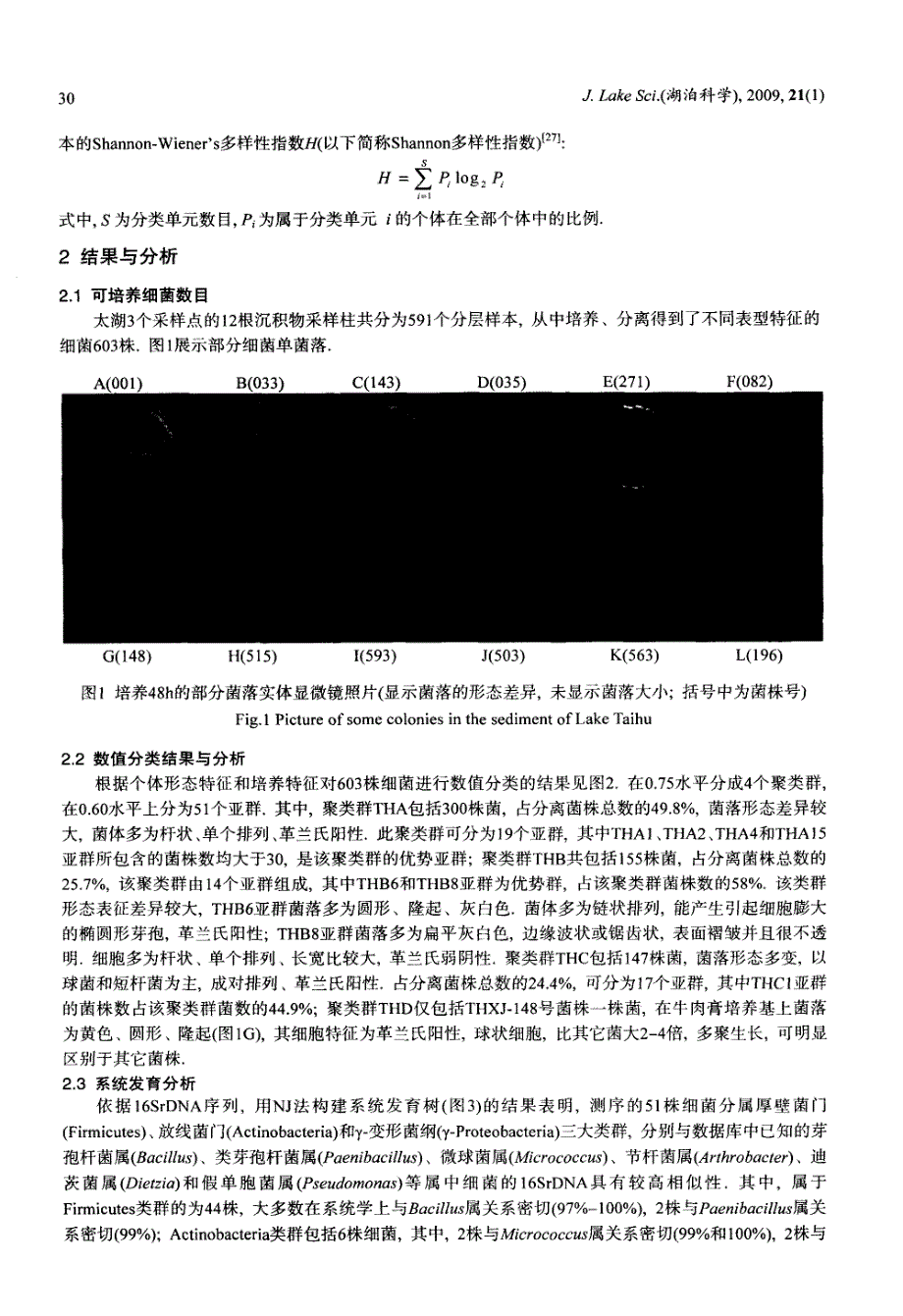 太湖沉积物中的可培养细菌i细菌多样性初步分析_第4页