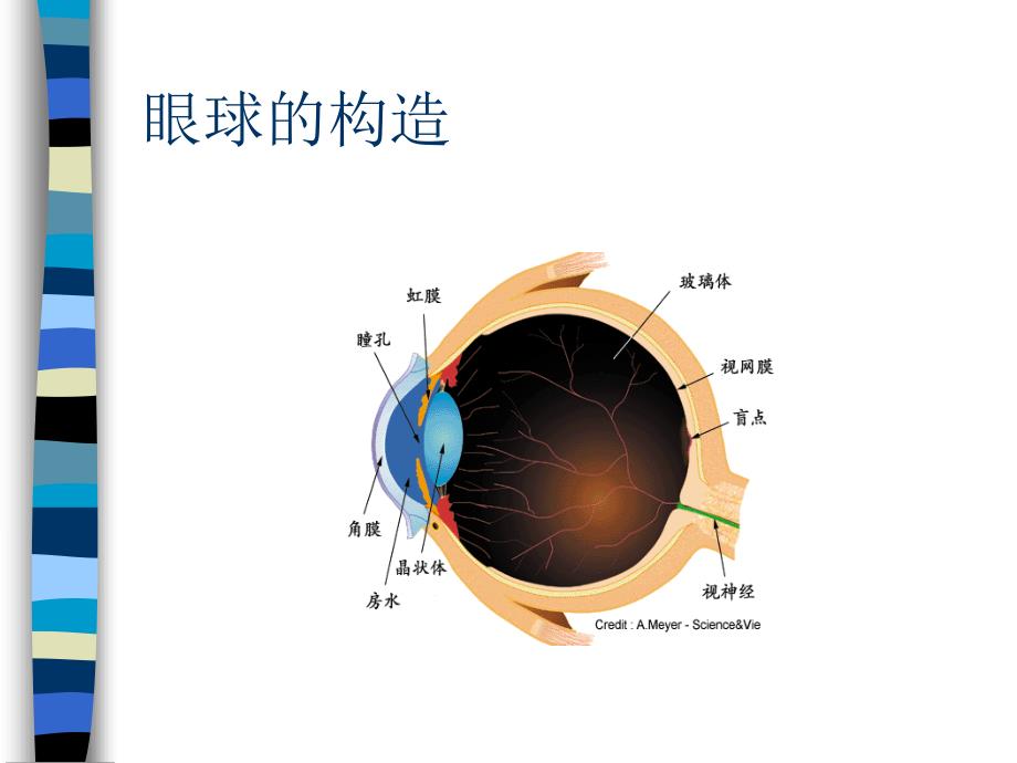 儿童眼保健知识_第2页