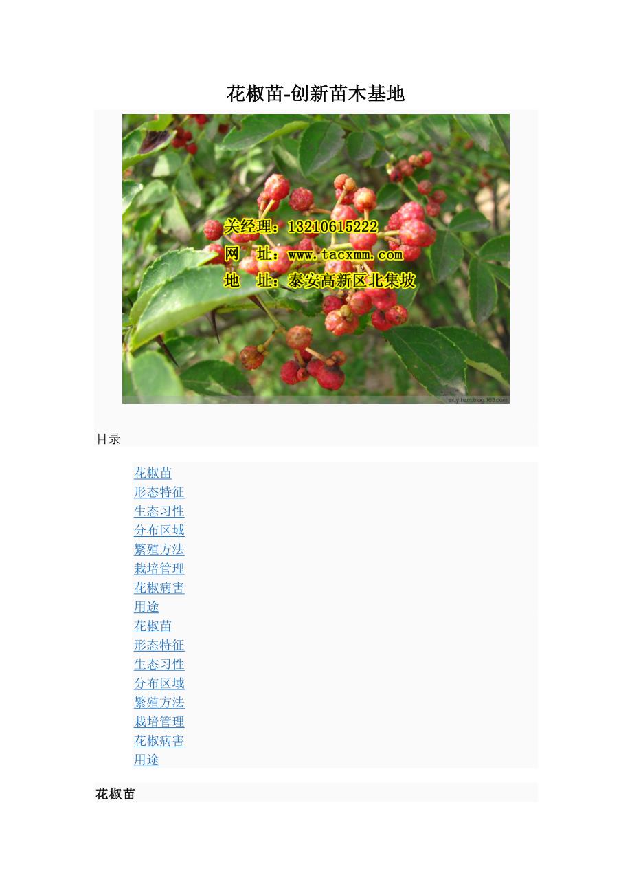 花椒苗-创新苗木基地_第1页