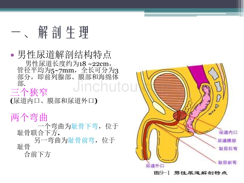 留置尿管常见的护理问题16年_第4页