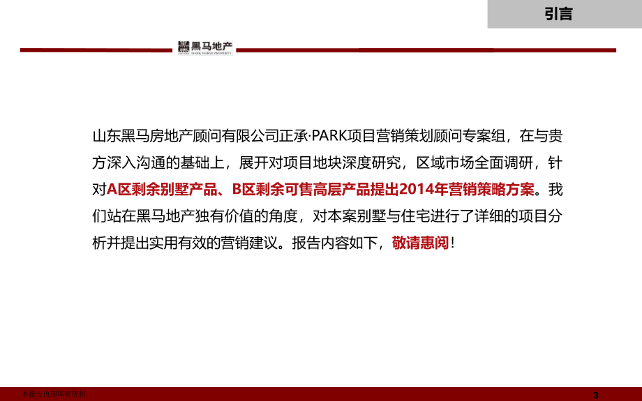 2014年1月淄博高新区正承·PARK项目2014年营销策略报告_第3页