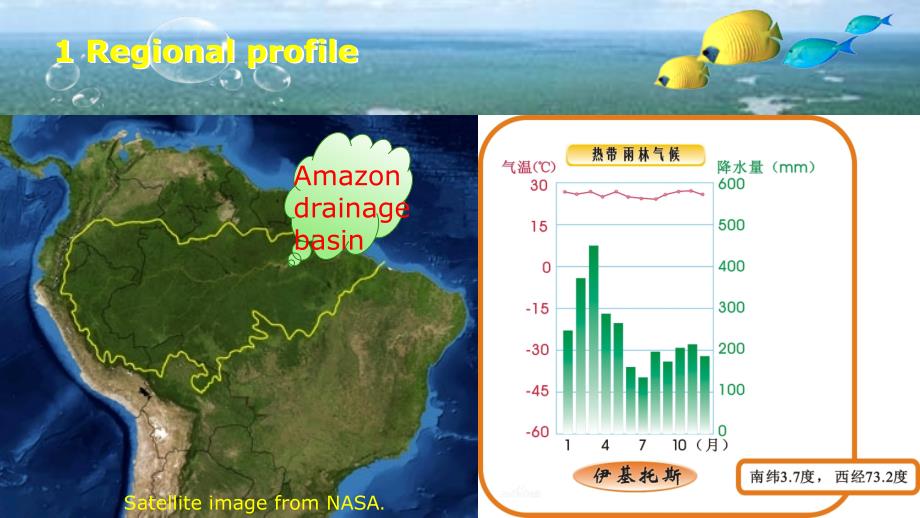 亚马逊热带雨林碳循环_第3页