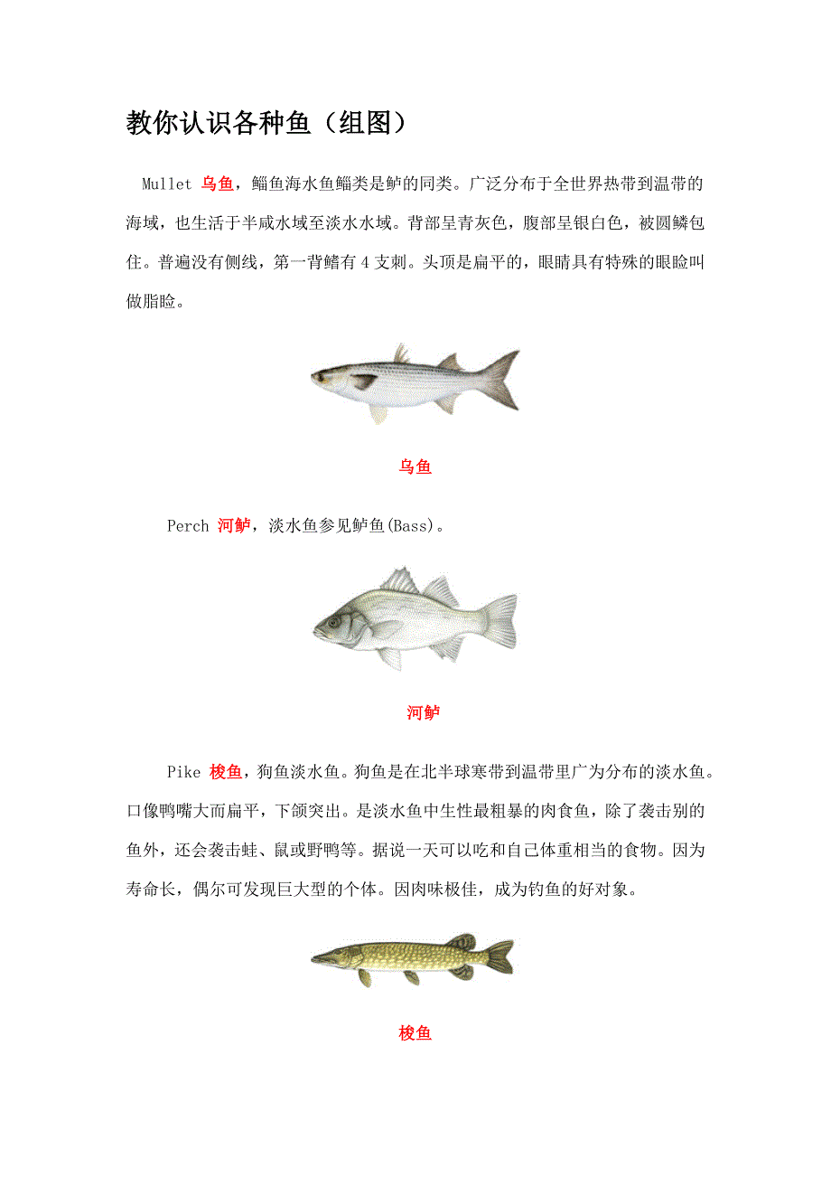 教你认识各种鱼_第1页