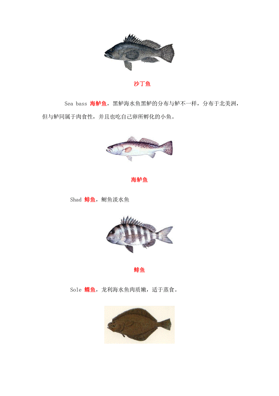 教你认识各种鱼_第4页