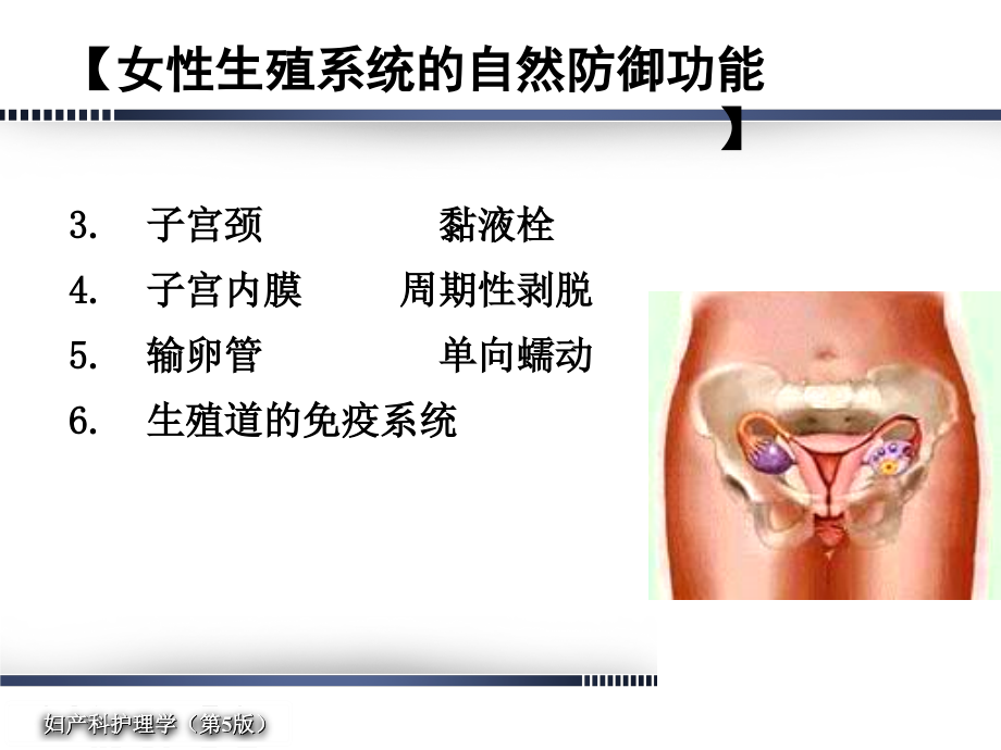 妇产科护理学-女性生殖系统炎症病人的护理_第4页