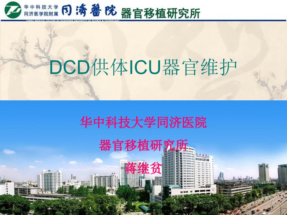 DCD供体ICU器官维护_第1页
