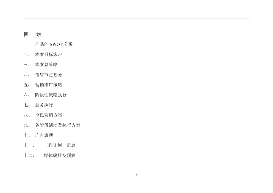 房地产新农村改造项目营销策略执行方案_第2页