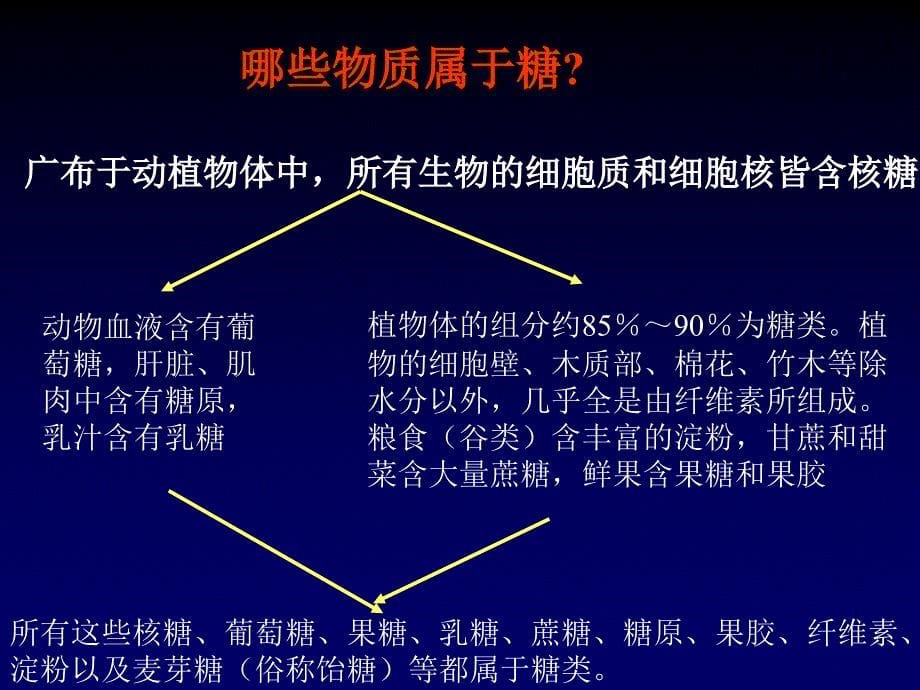 糖化学-2012_第5页