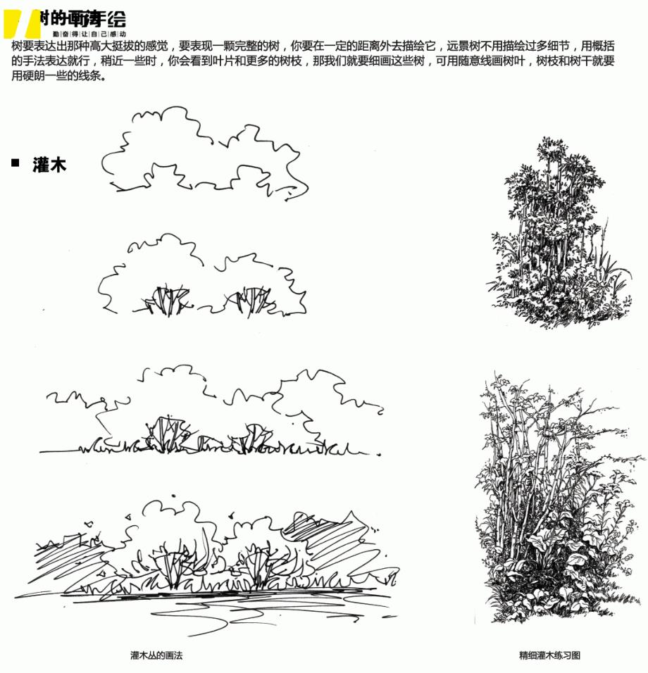 手绘配景的画法(草,花,树,水)画法教程步骤图_第3页