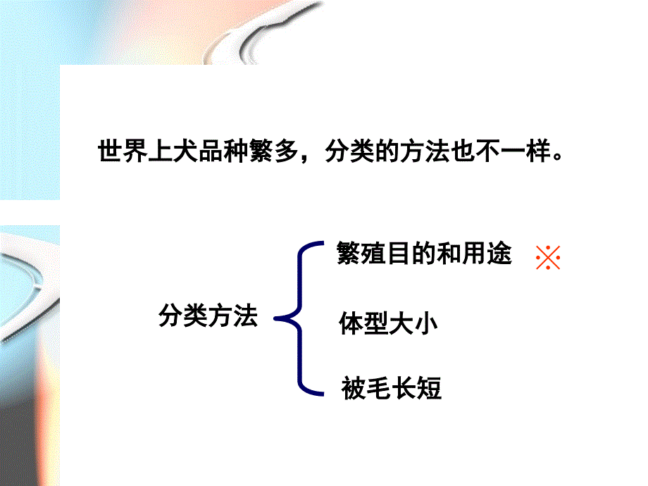 犬的品种及生物学特性_第4页