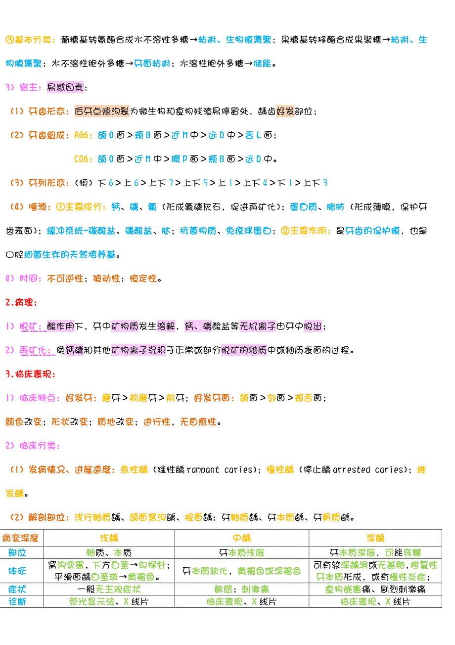 牙体牙髓基本知识及复习要点_第2页