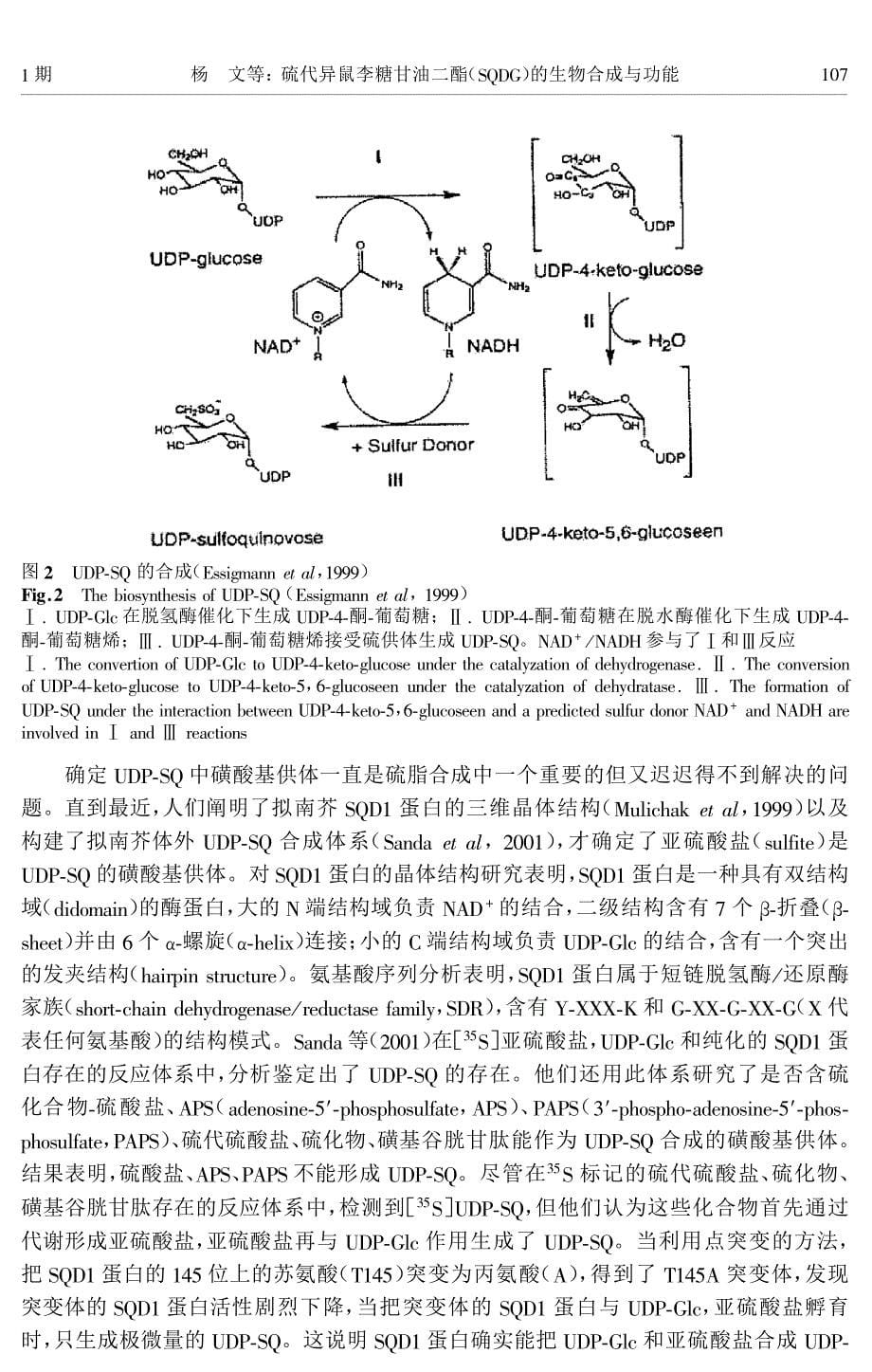 硫代异鼠李糖甘油二酯(sqdg)的生物合成与功能_第5页