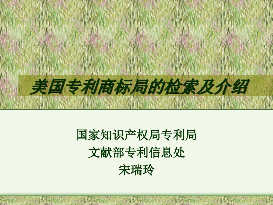 美国专利局检索及介绍_第1页