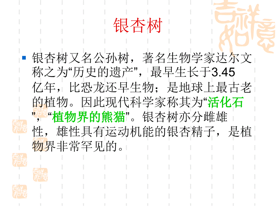 谈古论今话银杏_第3页