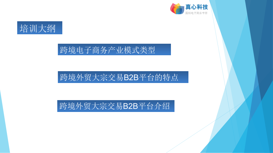 跨境外贸B2B平台的机会和挑战_第4页