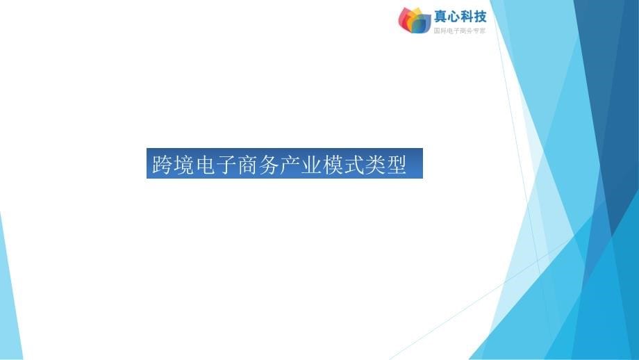 跨境外贸B2B平台的机会和挑战_第5页