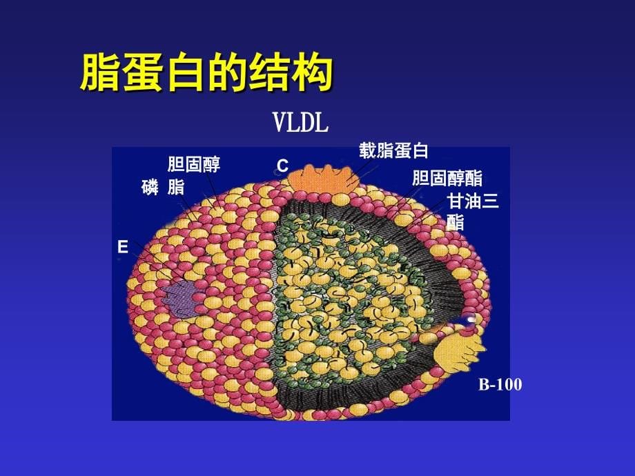 血脂异常的诊断与治疗_第5页