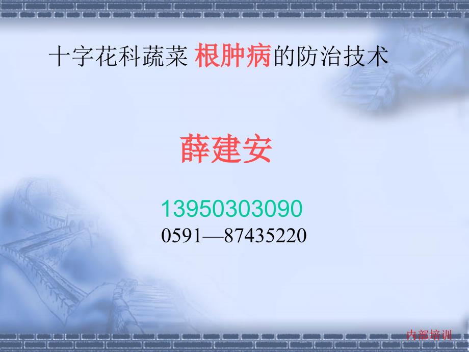 根肿病防治技术_第1页